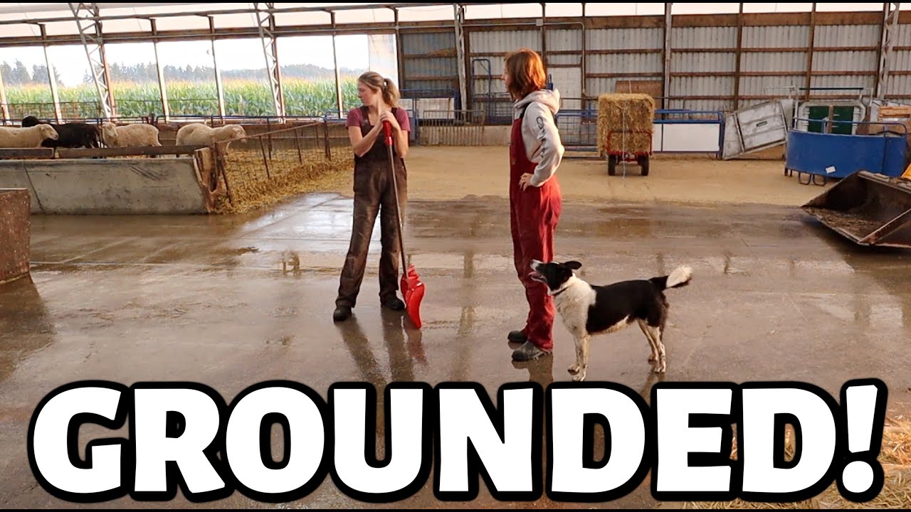 I've been kicked out of the sheep barn...   this is why.