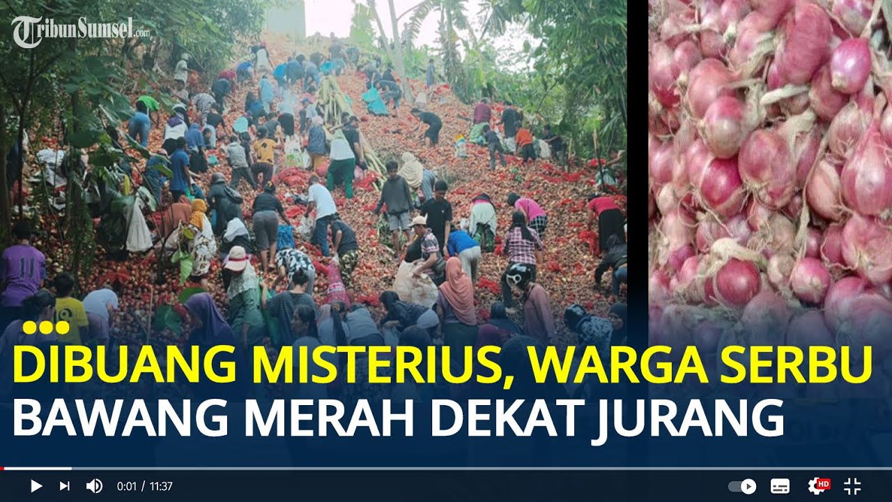 Viral Warga Berbondong-bondong Buru Bawang Merah dan Bombay Dekat Jurang di Batam, Dibuang Misterius