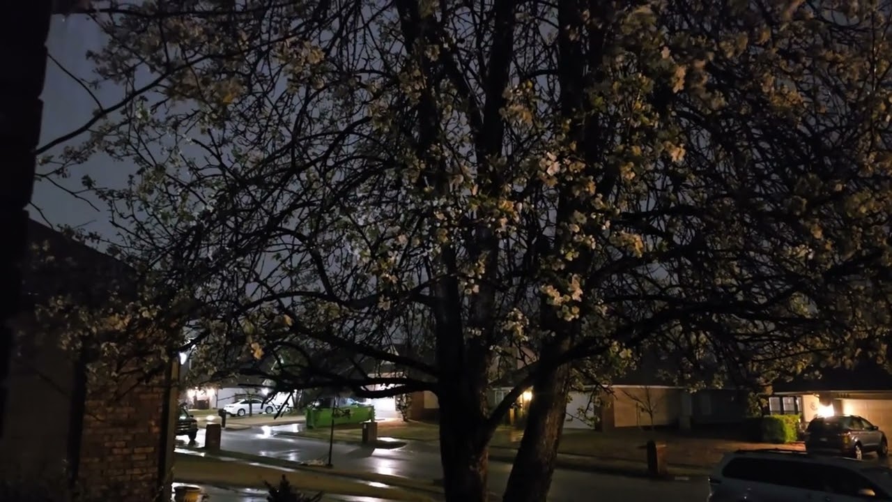 Tulsa Tornados 9