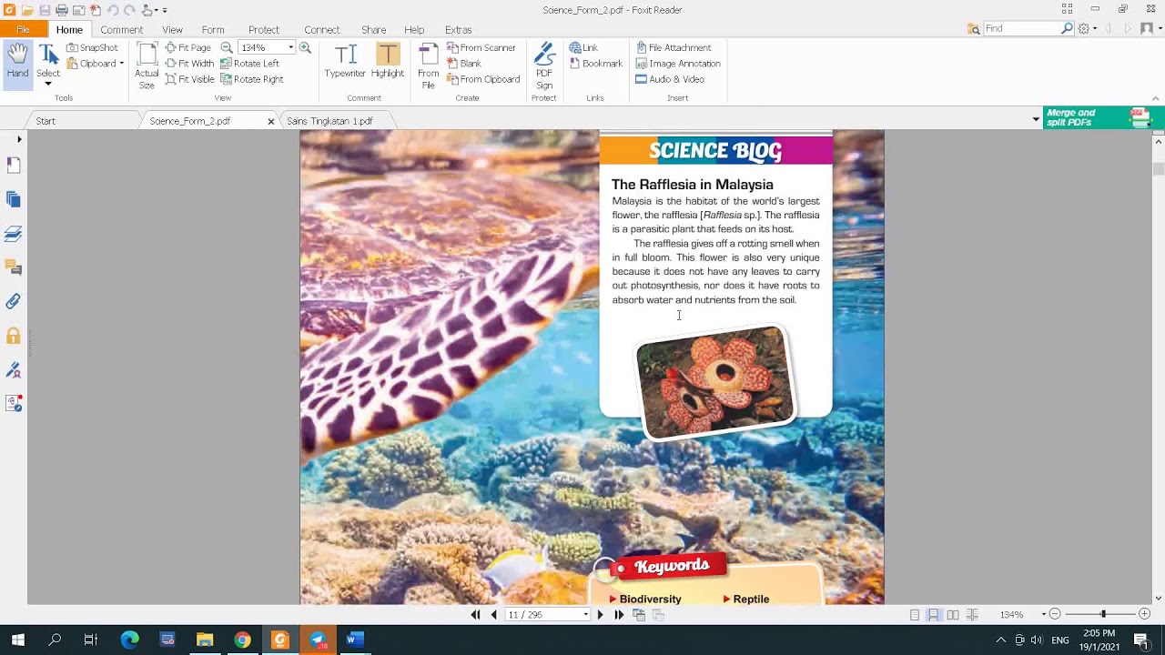 SCIENCE FORM 2 : Biodiversity Part 1. by Cikgu Farhana