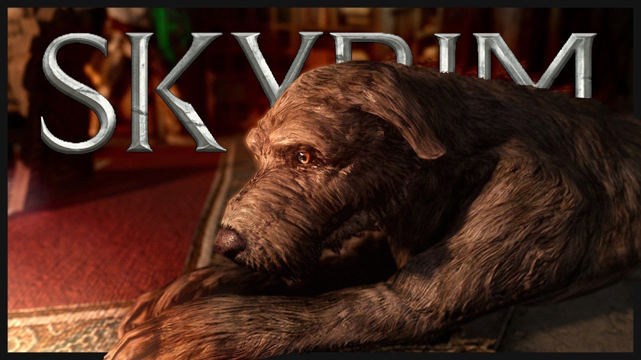SKYRIM 2020 [4K] 🐉 256: Auf der Suche nach Wunderhund Barbas