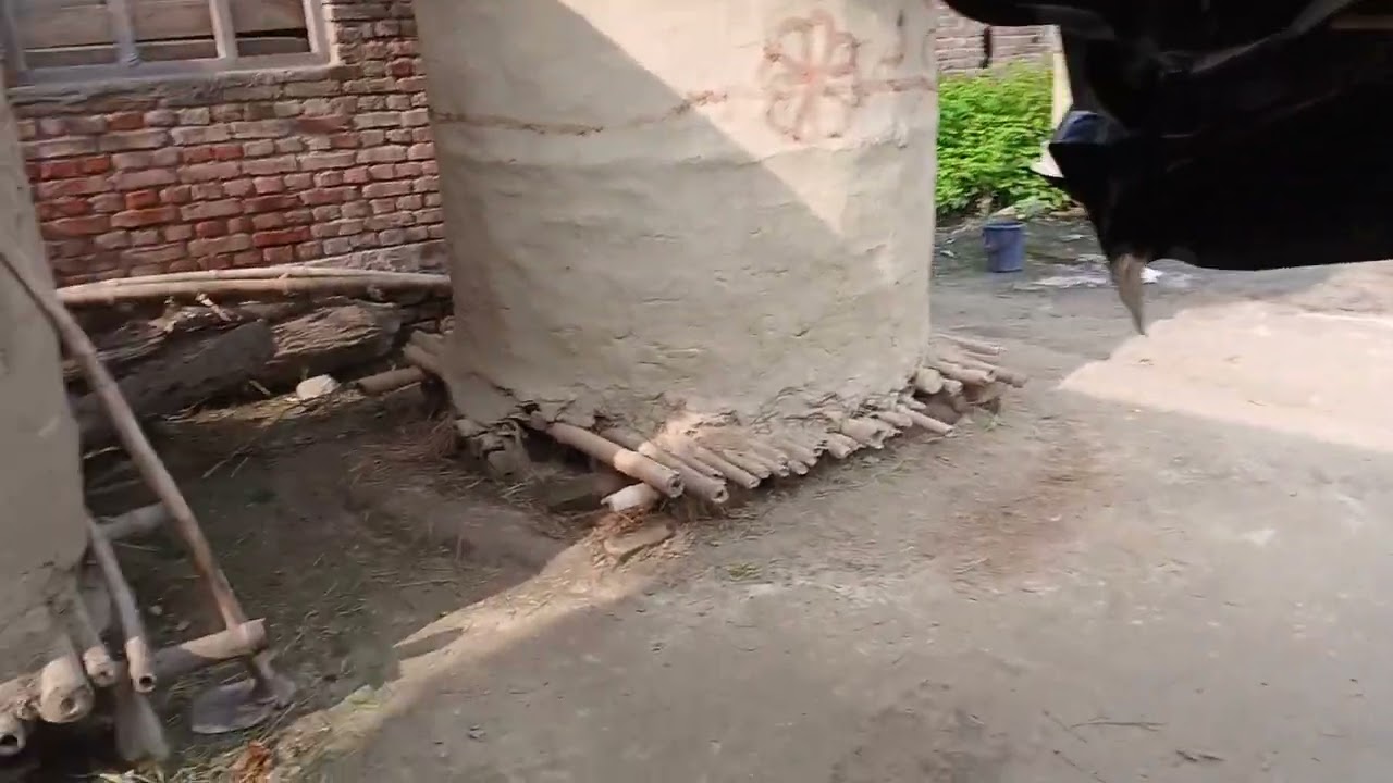 DEKHIYE DOSTO MERE GAW KA VIEW