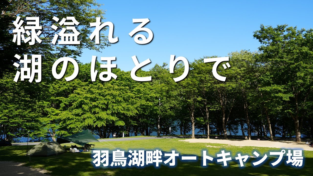 【MOGI CAMP】自然林に囲まれてる雰囲気が最高！│羽鳥湖畔オートキャンプ場│福島県│岩瀬郡│絶景│夜景│韓国人