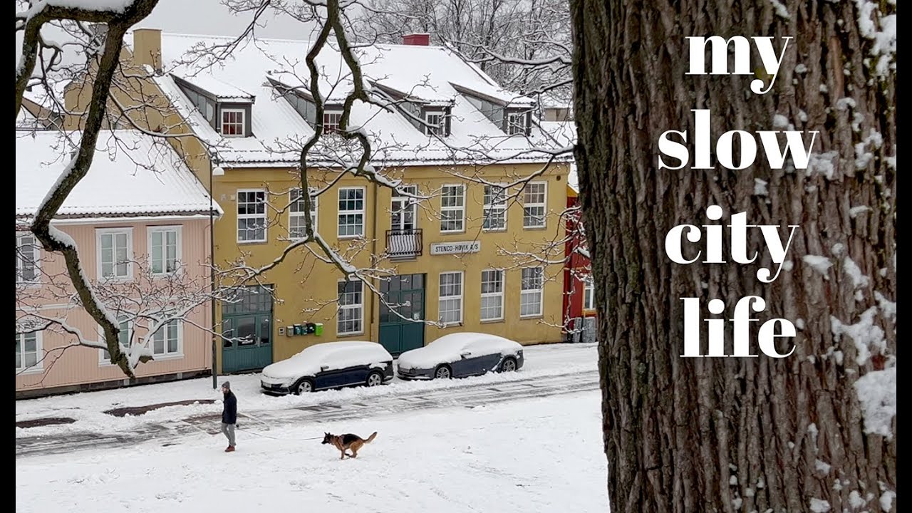 A quiet Oslo Christmas / forest and city walks / slow living vlog / Thoughts on life