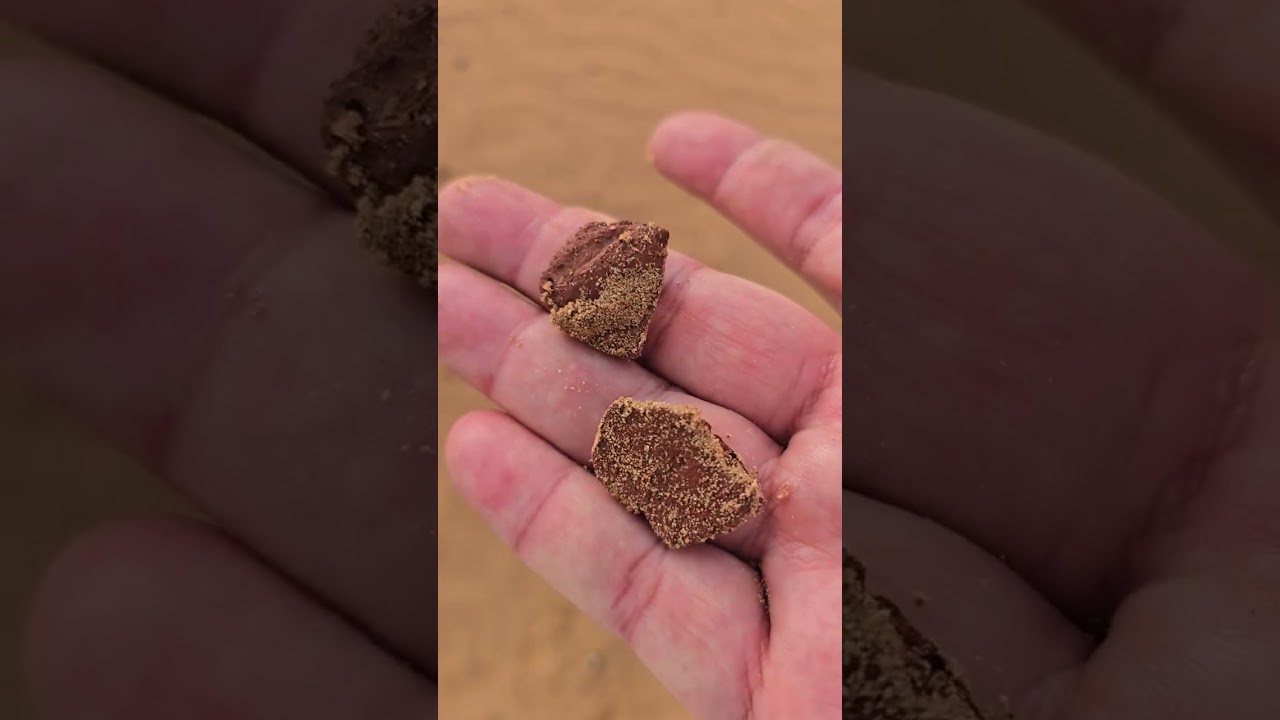 راشد العليلي الطبيعه الصحراوية في ام القيوين 