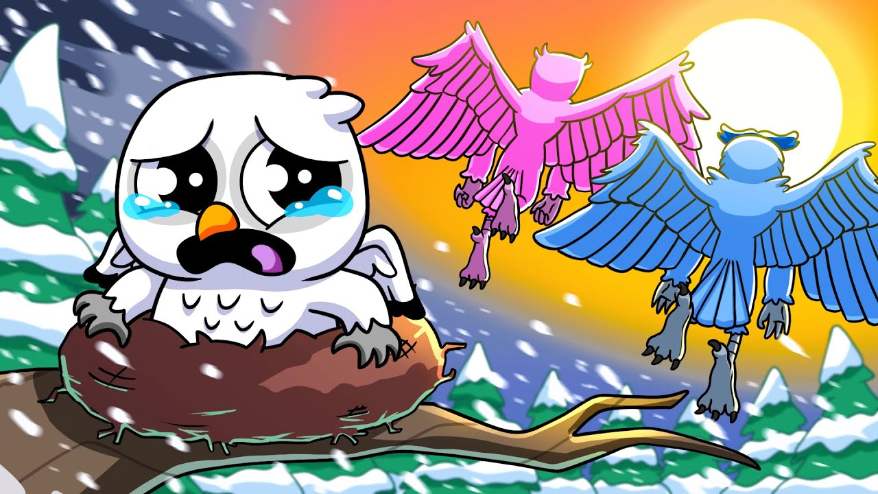 The OWL: ABANDONED at BIRTH... (Cartoon Animation)