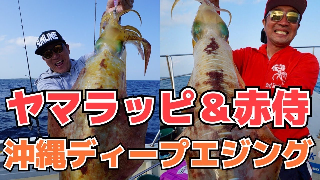 ヤマラッピ&赤侍 【ディープエジング】キャプテンズオキナワ　squid