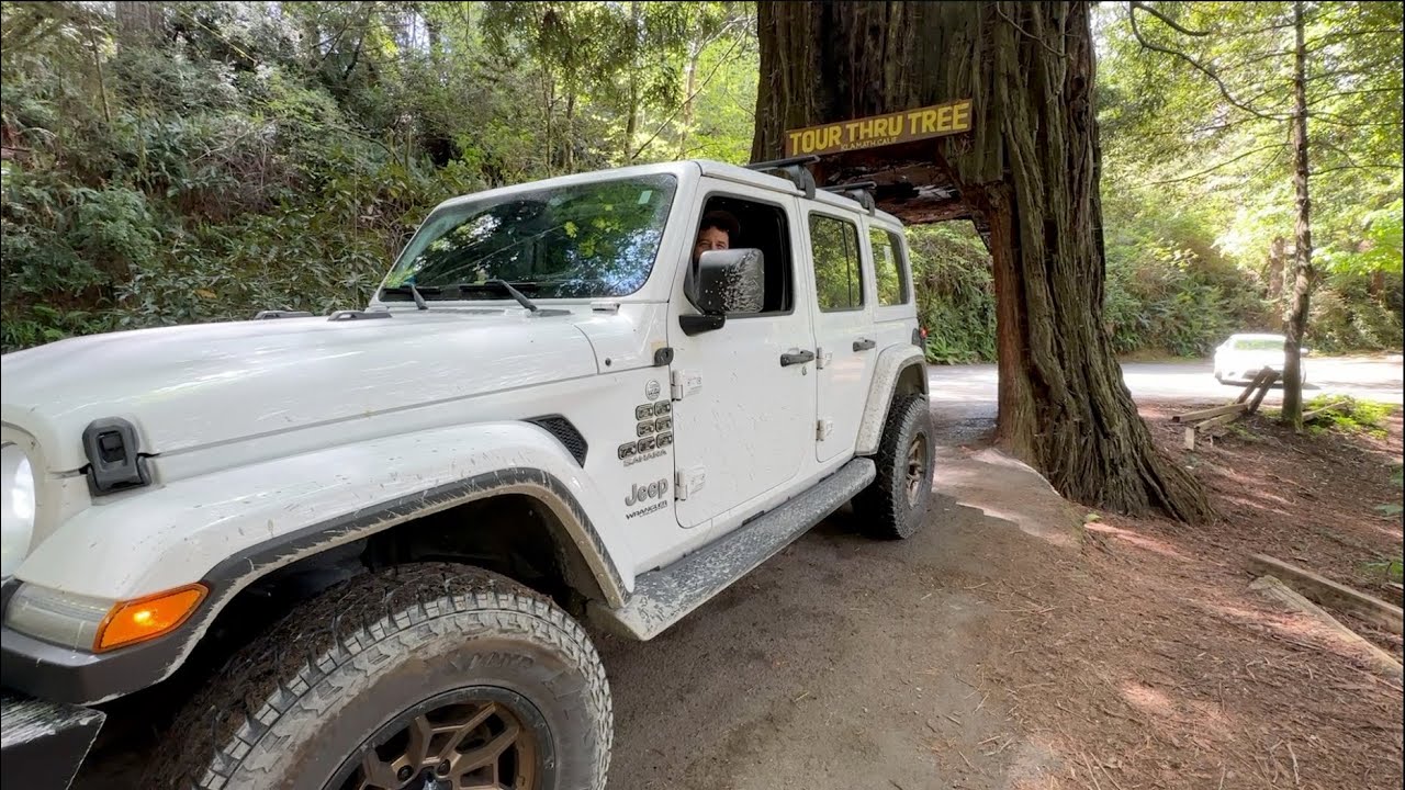 🚗 We Drove Through ALL of California's Famous Drive-Thru Trees! (Honeymoon Flashback 2015) 🌲