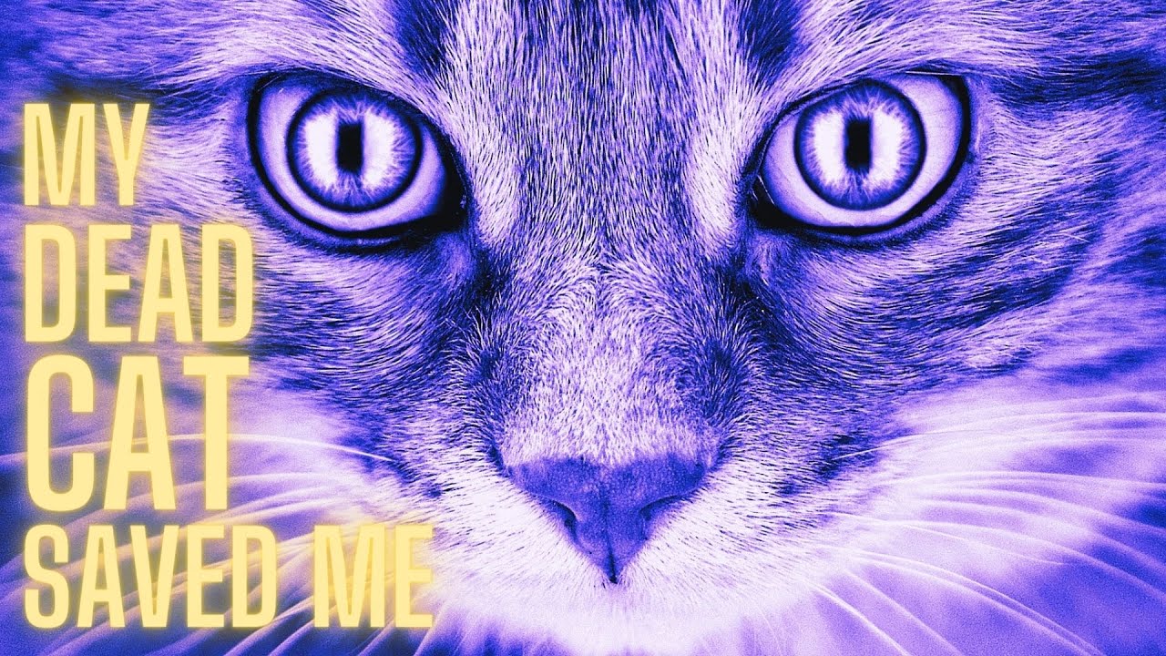 Past Life Regression - My Dead Cat Saved Me During My Hypnotherapy Session