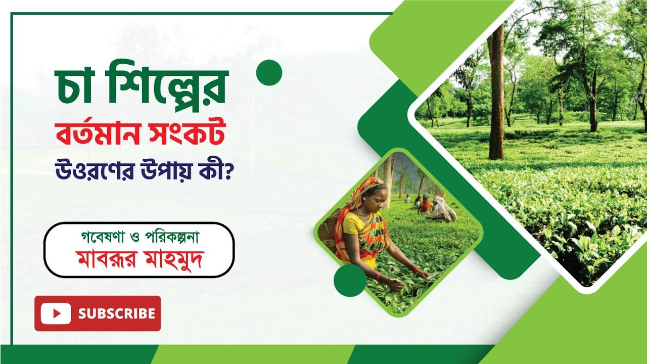 চা শিল্পের বর্তমান সংকট উত্তরণের উপায় কী?।। মাবরূর মাহমুদ।। IDEAS FOR DEVELOPMENT (IFD)