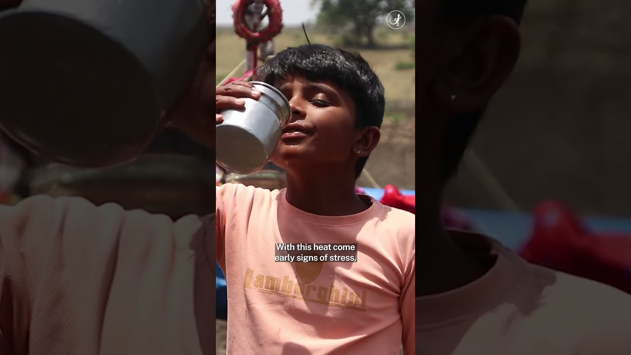 Under the heat; story of the Raikas | Rajasthan