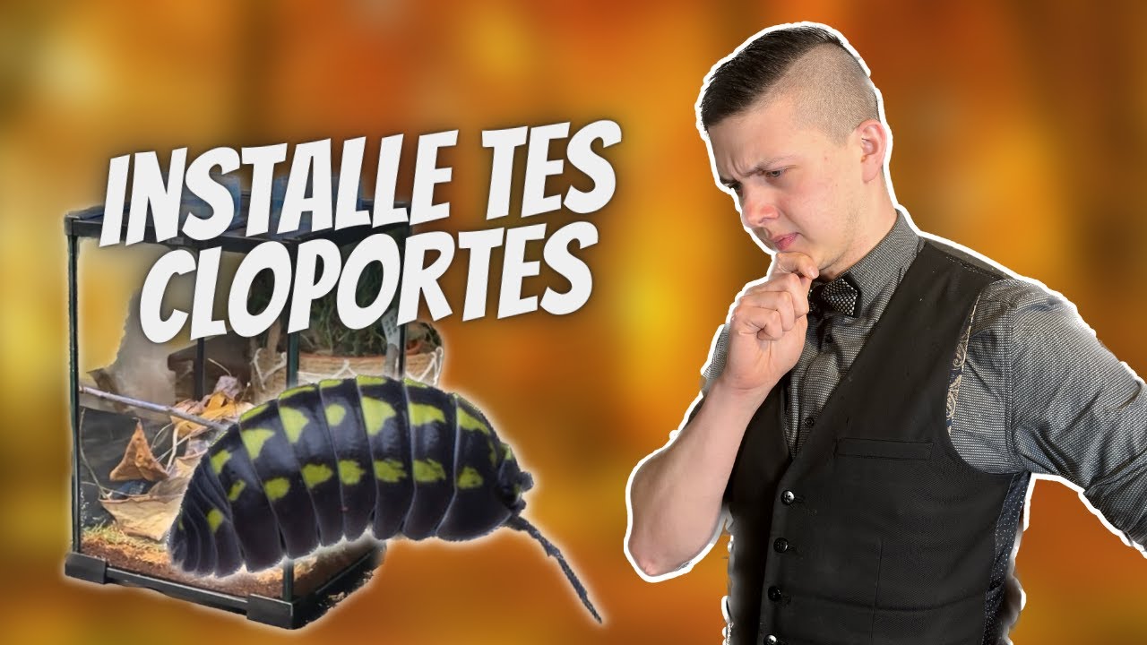 INSTALLE TES CLOPORTES (En plus c'est joli) [Vulga Wild - Ep 5]