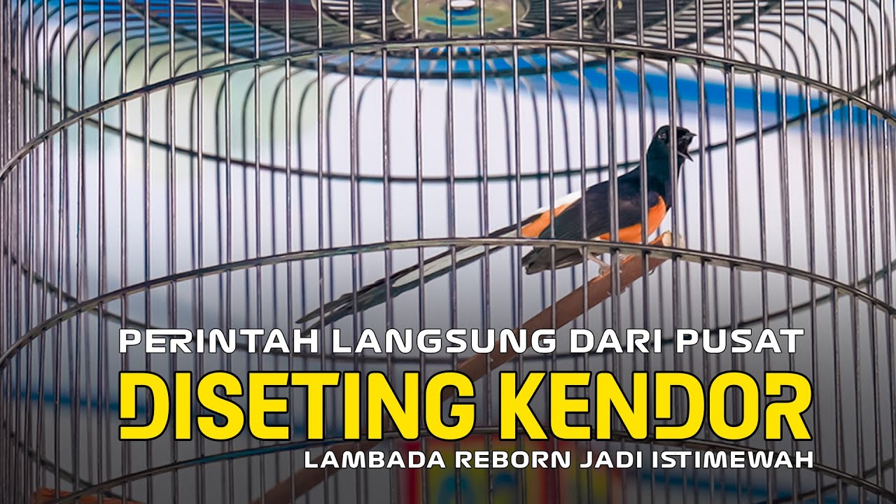 Arahan Dari Big Bos Lambada Reborn Disetting Kendor Langsung Jadi Istimewa
