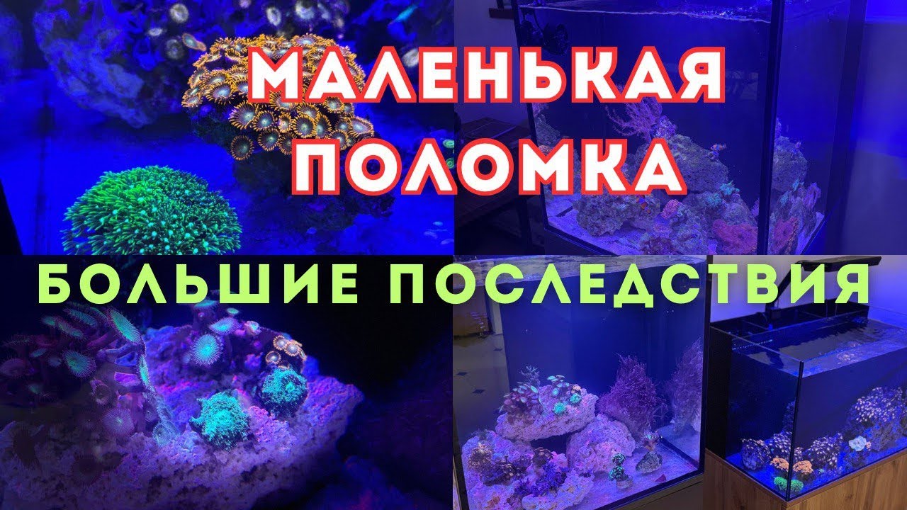 JEBAO MLW-10/ЗАМЕНА СЛОМАННОЙ ПОМПЫ 