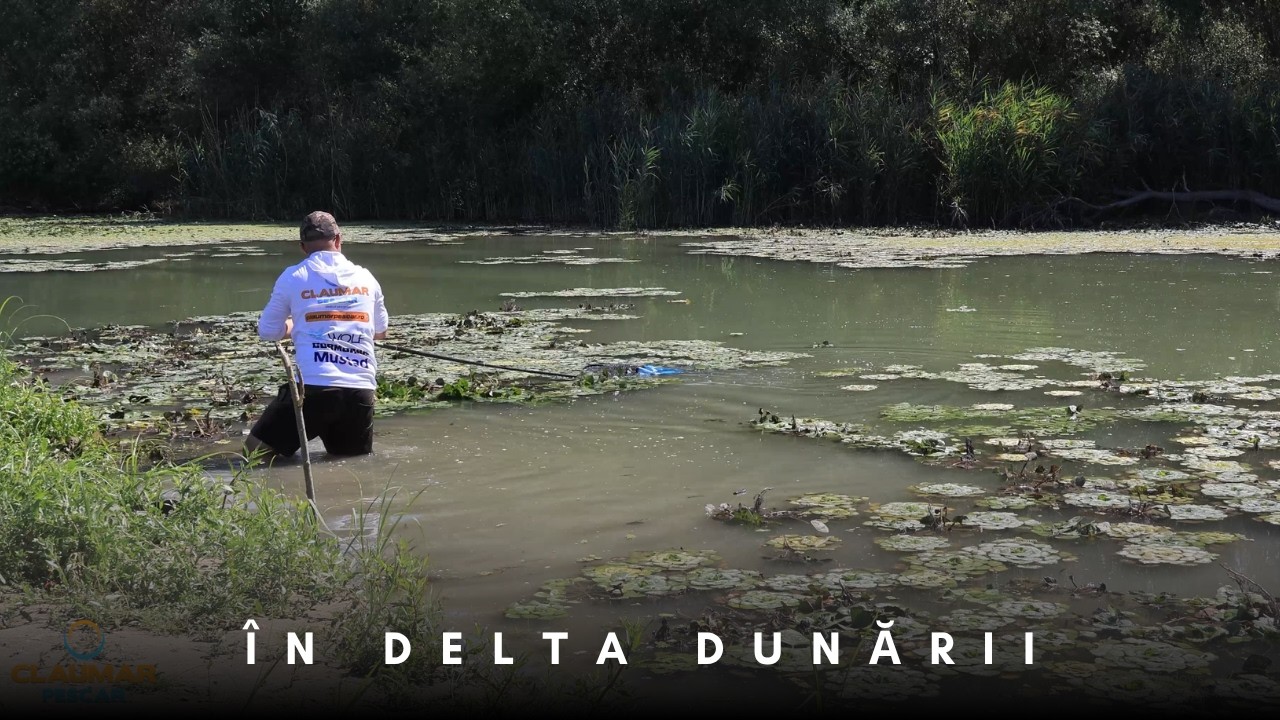 Pluta și feeder în Delta – pescuit simplu printre provocari
