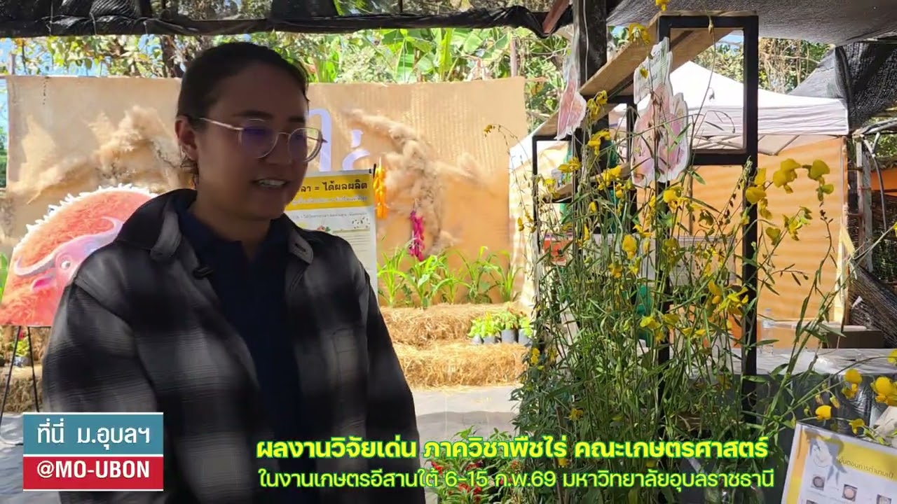 ผลงานวิจัยเด่น ภาควิชาพืชไร่ คณะเกษตรศาสตร์  ในงานเกษตรอีสานใต้ ม.อุบลฯ