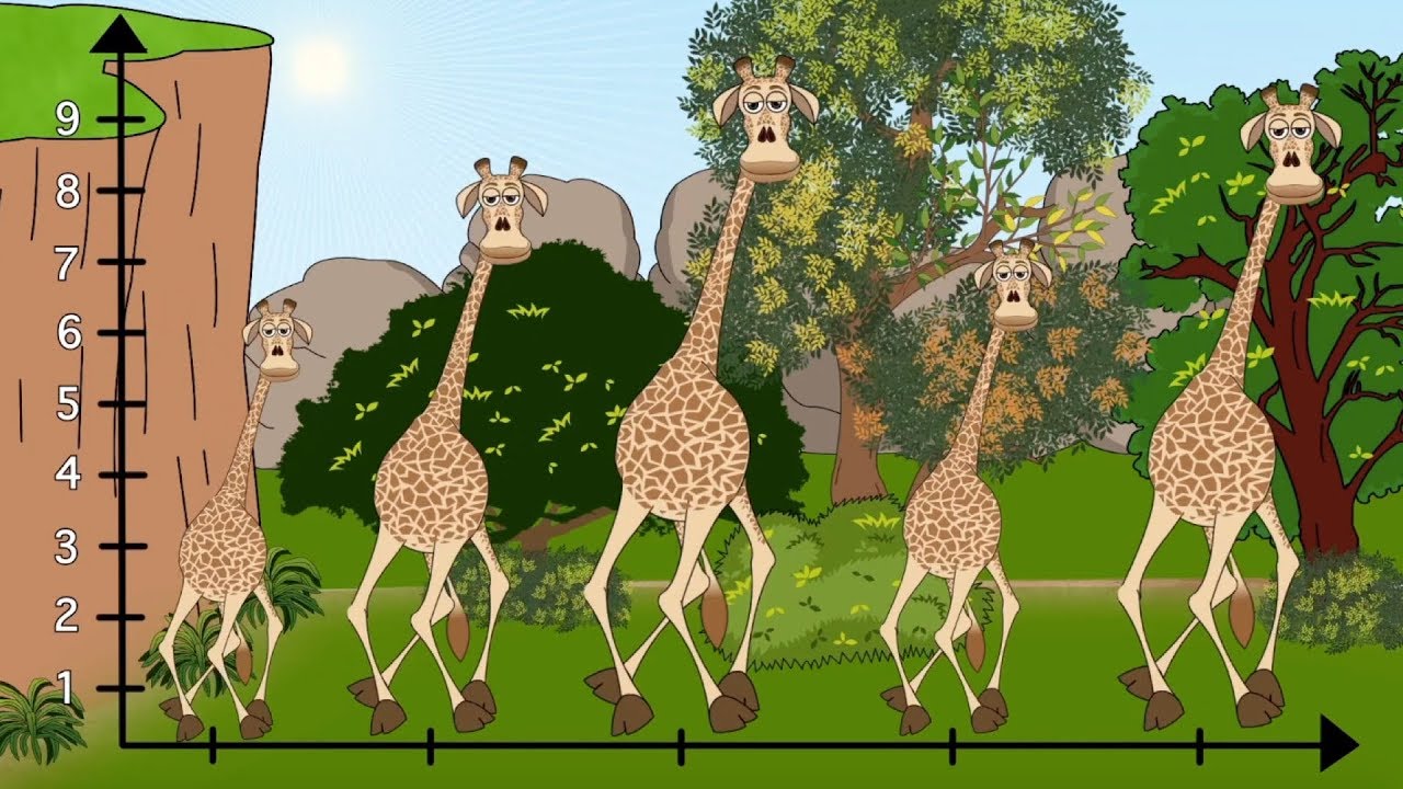 Geometry | Area and Perimeter | Math Sing-along from Ubongo Kids