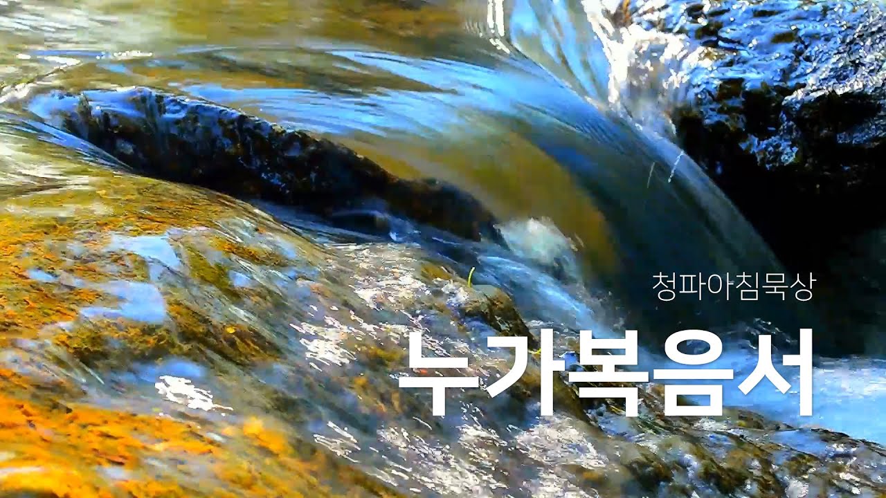 250908(월) 누가복음서 6장