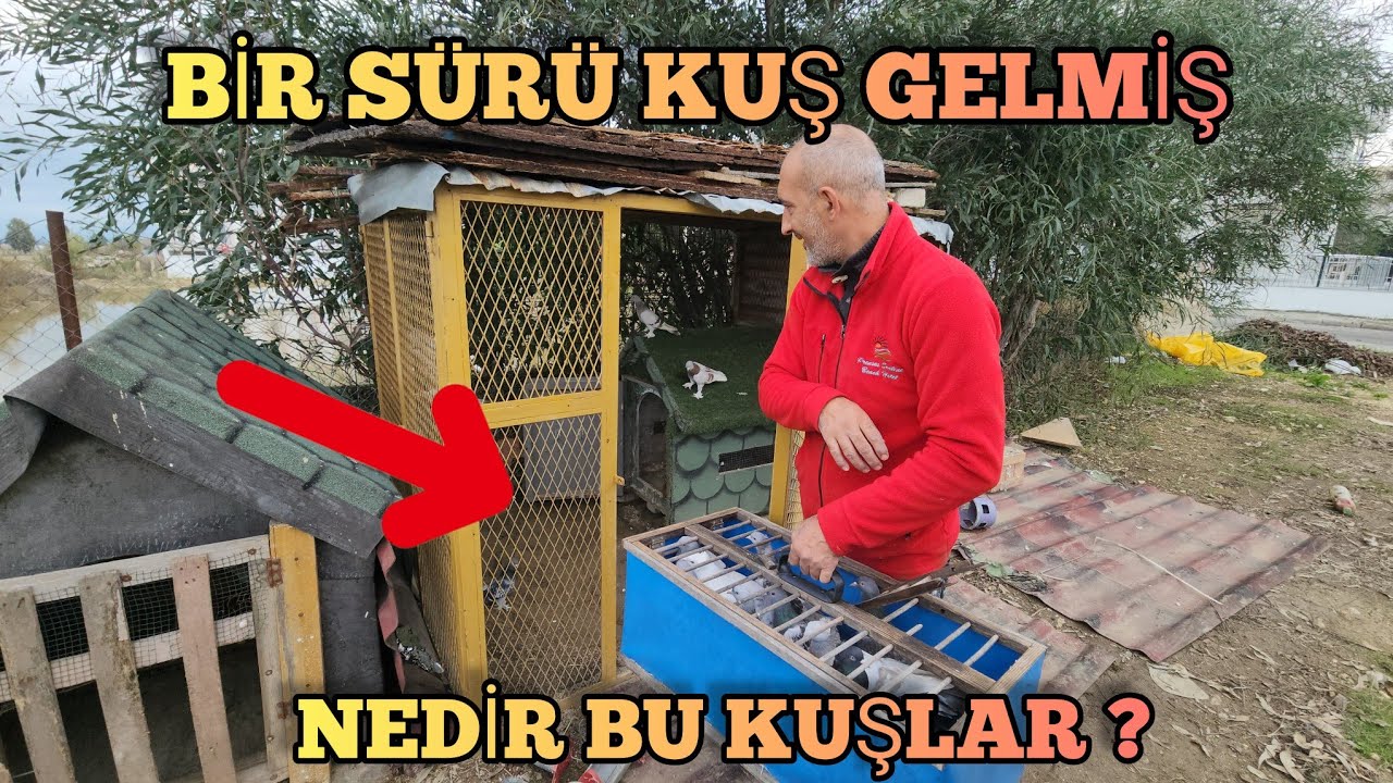G&ouml;khan Reis 15 Tane G&uuml;vercin Getirdi G&ouml;zlerim A&ccedil;ıldı