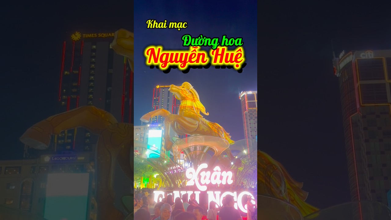 Khai mạc đường hoa Nguyễn Huệ Tết B&iacute;nh Ngọ #handang #tetbinhngo #duonghoanguyenhue #tet2026