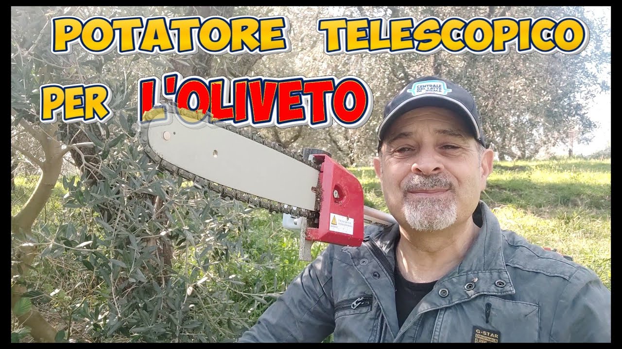 Potatore con asta telescopica, lavori sicuri e veloci