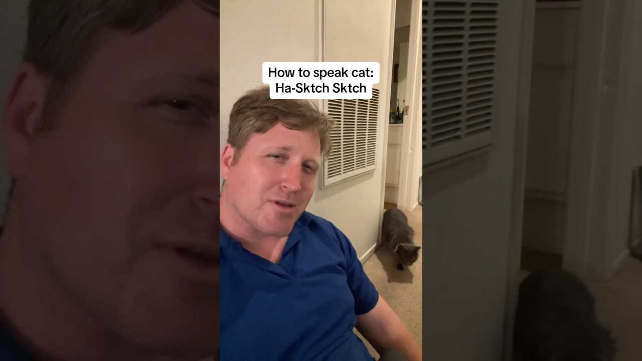 How to Speak Cat: Lesson 9