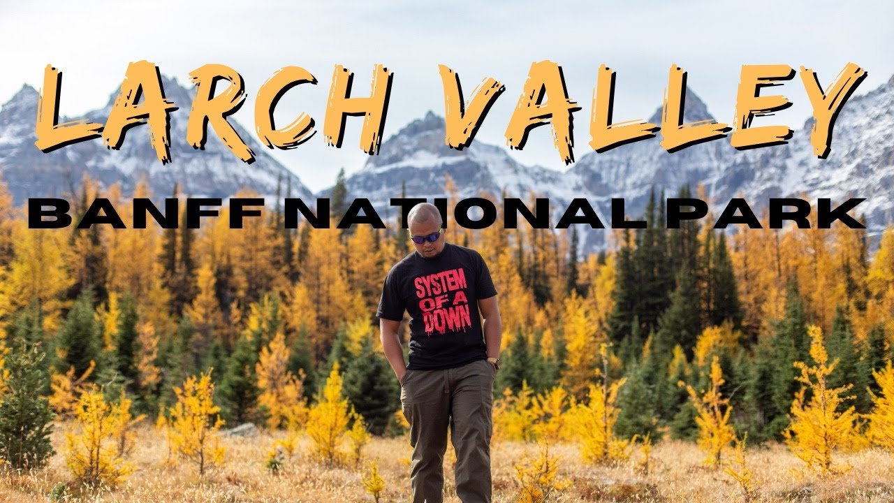 Visiting the Golden Larches in Larch Valley, Banff National Park!