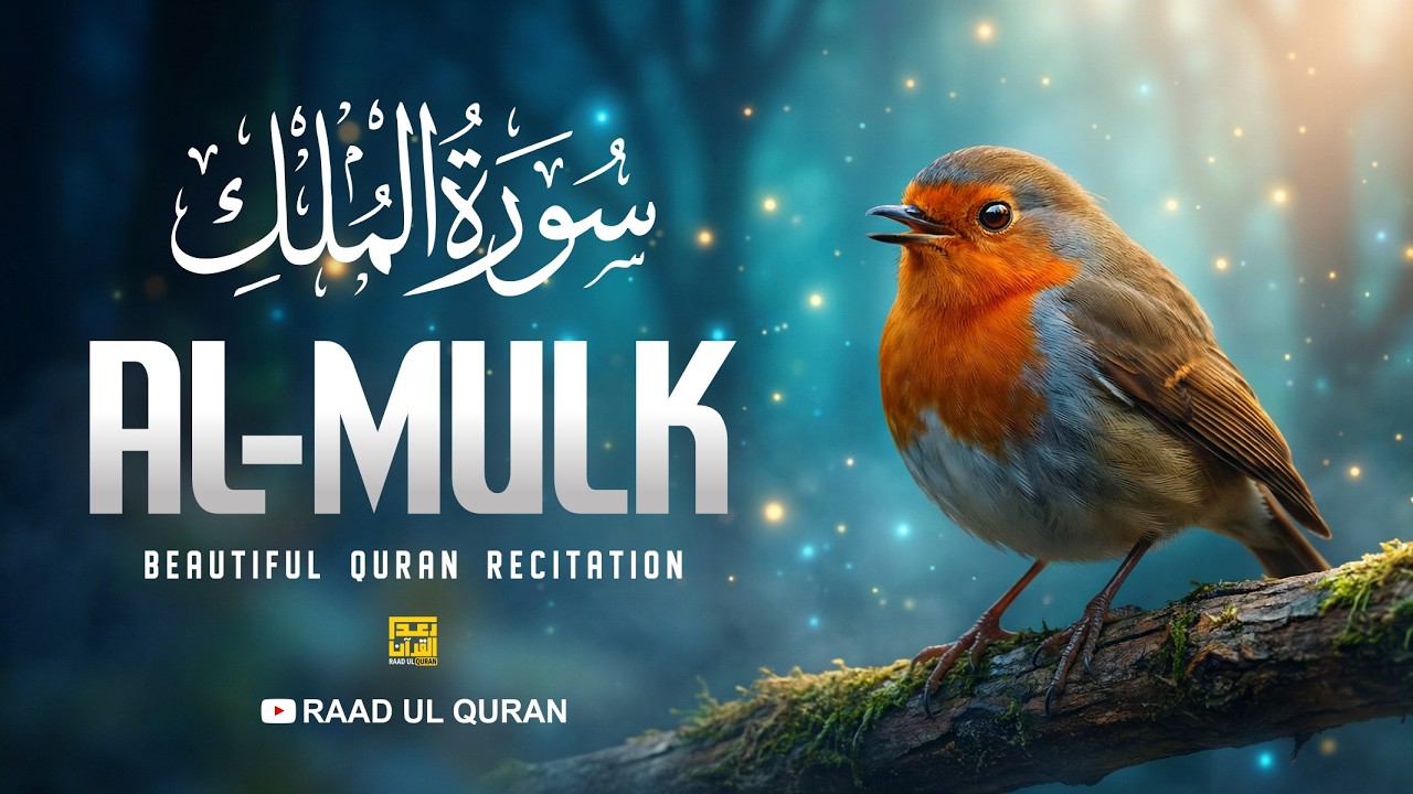 Surah Al Mulk سورة الملك | Ramadan Night Recitation | Raad Ul Quran | #surahmulk #ramadan2026