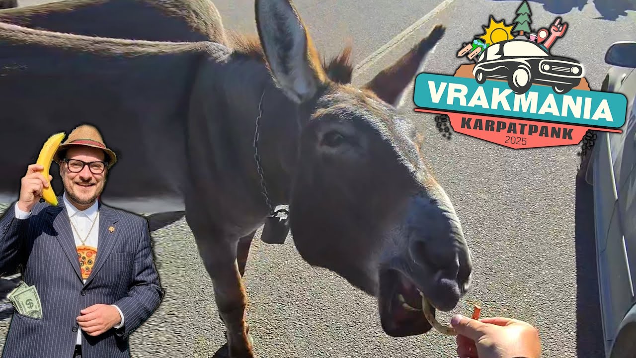 Hory, Somáre, Kŕmenie a Betónový Kostol 🚗 5.ČASŤ 🚗 Ivan Donoval 🚗 Vrakmania Karpatpank