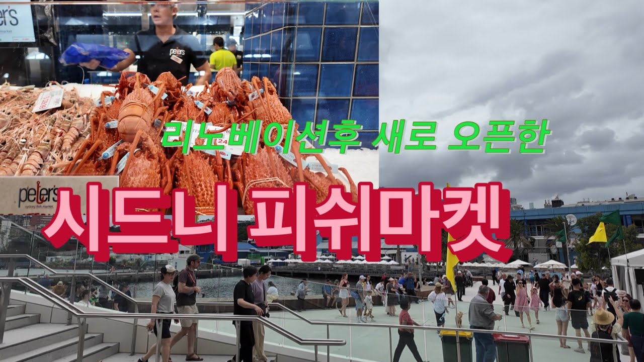 시드니 피쉬마켓이 리노베이션하고 새로 오픈했다고 해서 가 봤습니다.