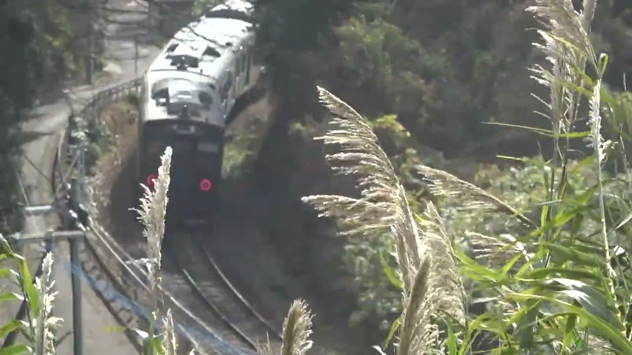 大村線　YC1系気動車とトレインハンターズ九州　2026/01/10