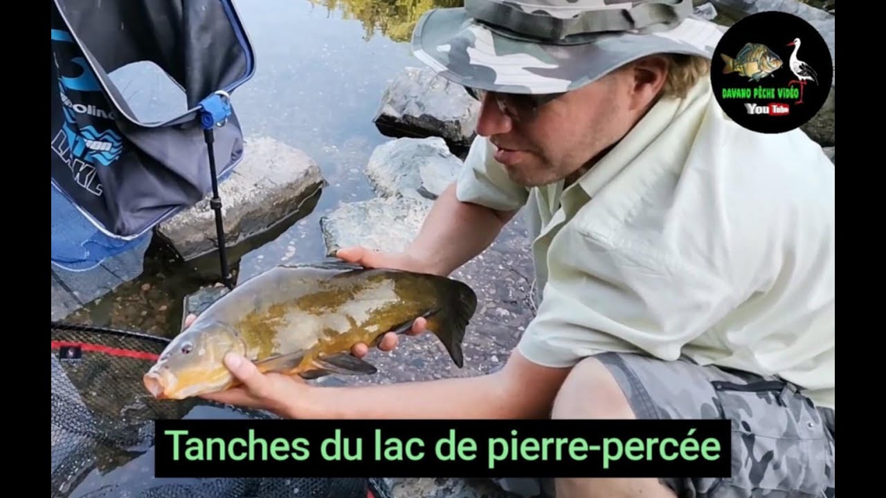 Matin feeder au lac de Pierre-Percée