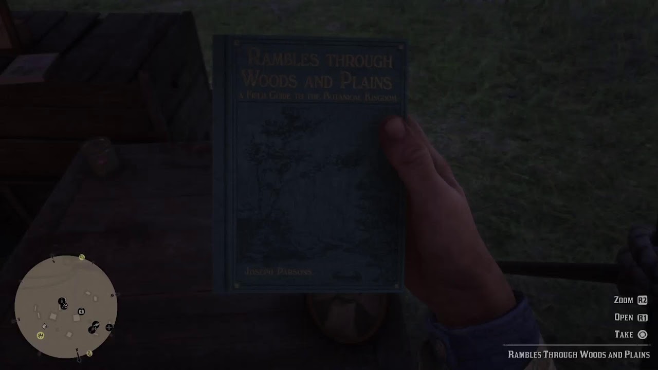 Reddeadredeption2  walkthrough 4k