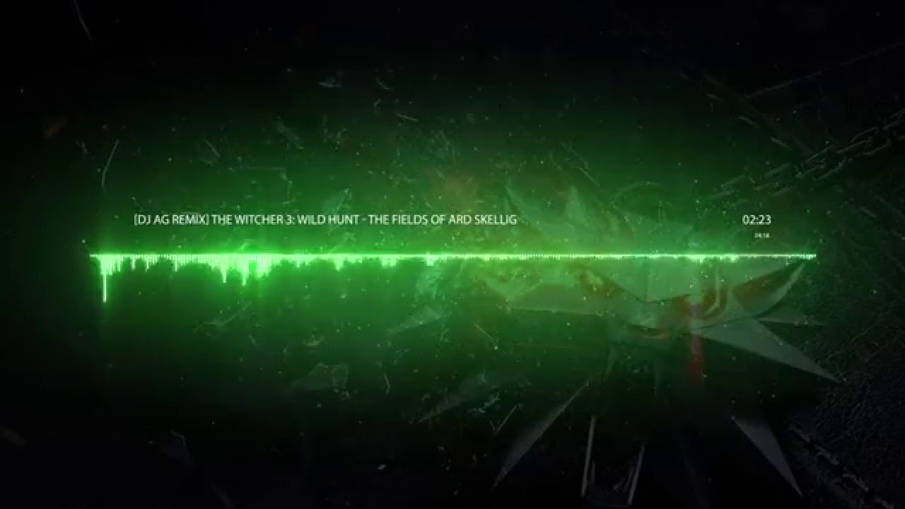 The Witcher 3: Wild Hunt - The Fields of Ard Skellig (DJ AG Remix)