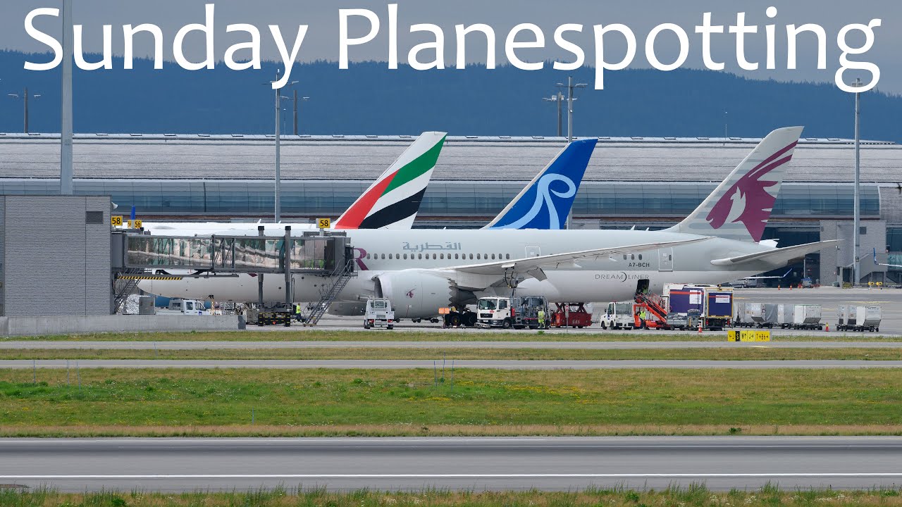 Relaxing planespotting last Sunday