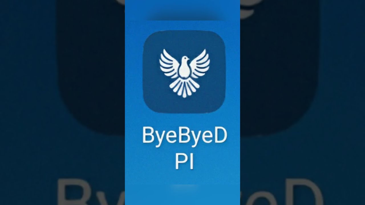 НАСТРОЙКА BYE-BYE DPI