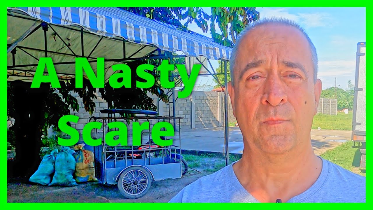 Philippine House Building Day 251 - A Nasty Scare