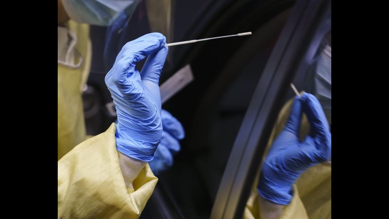 Quebec government scientists say it’s too soon to recommend colchicine for COVID-19