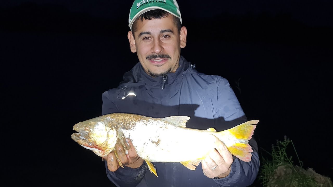 Pesca en pesquero el chuza #pesca #fishing #parati #lineadepesca #dorado 
