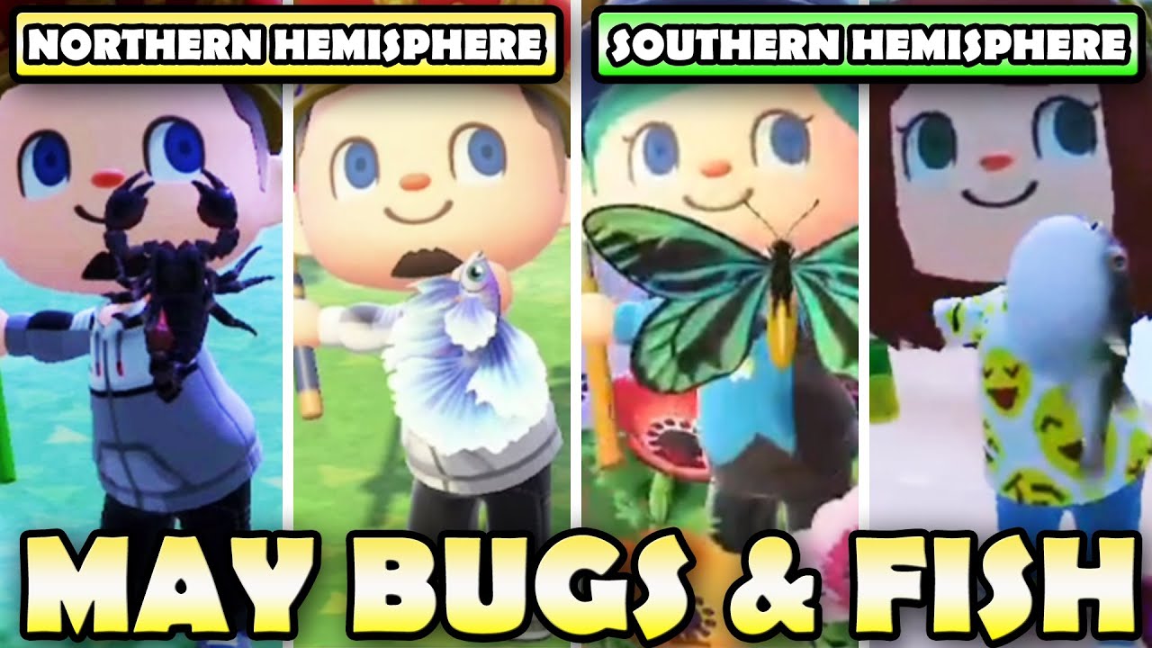 🐛🐟 ULTIMATE Bugs & Fish Guide For MAY In Animal Crossing New Horizons | North & South Hemisphere!