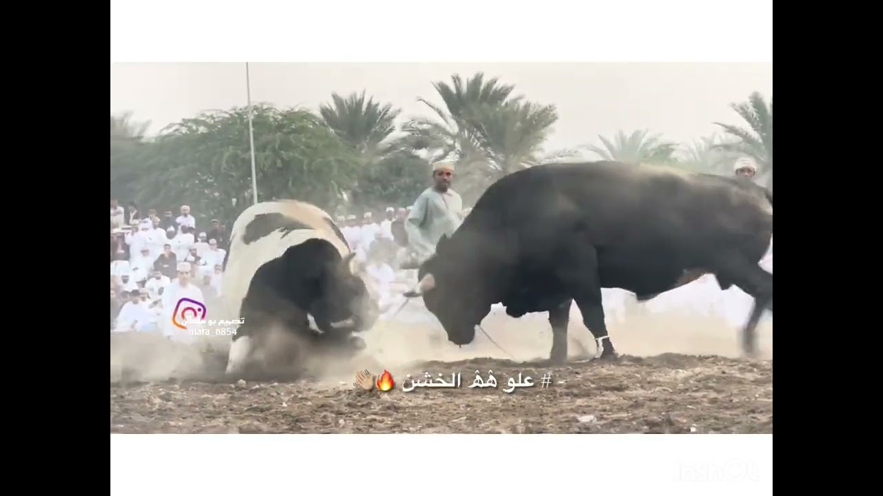 ٢٨ يناير، ٢٠٢٦