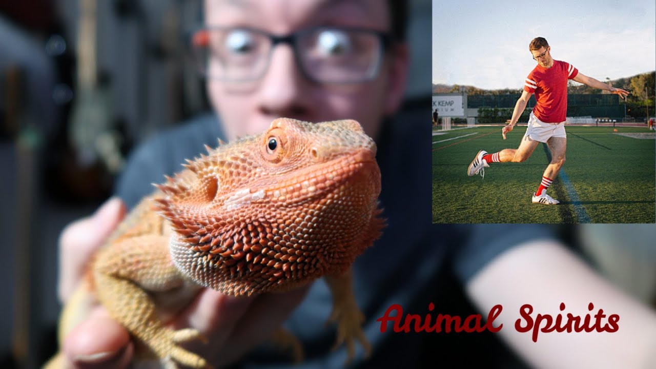 Vulfpeck - Animal Spirits - Guitar Cover By Mike Smith (with TAB)
