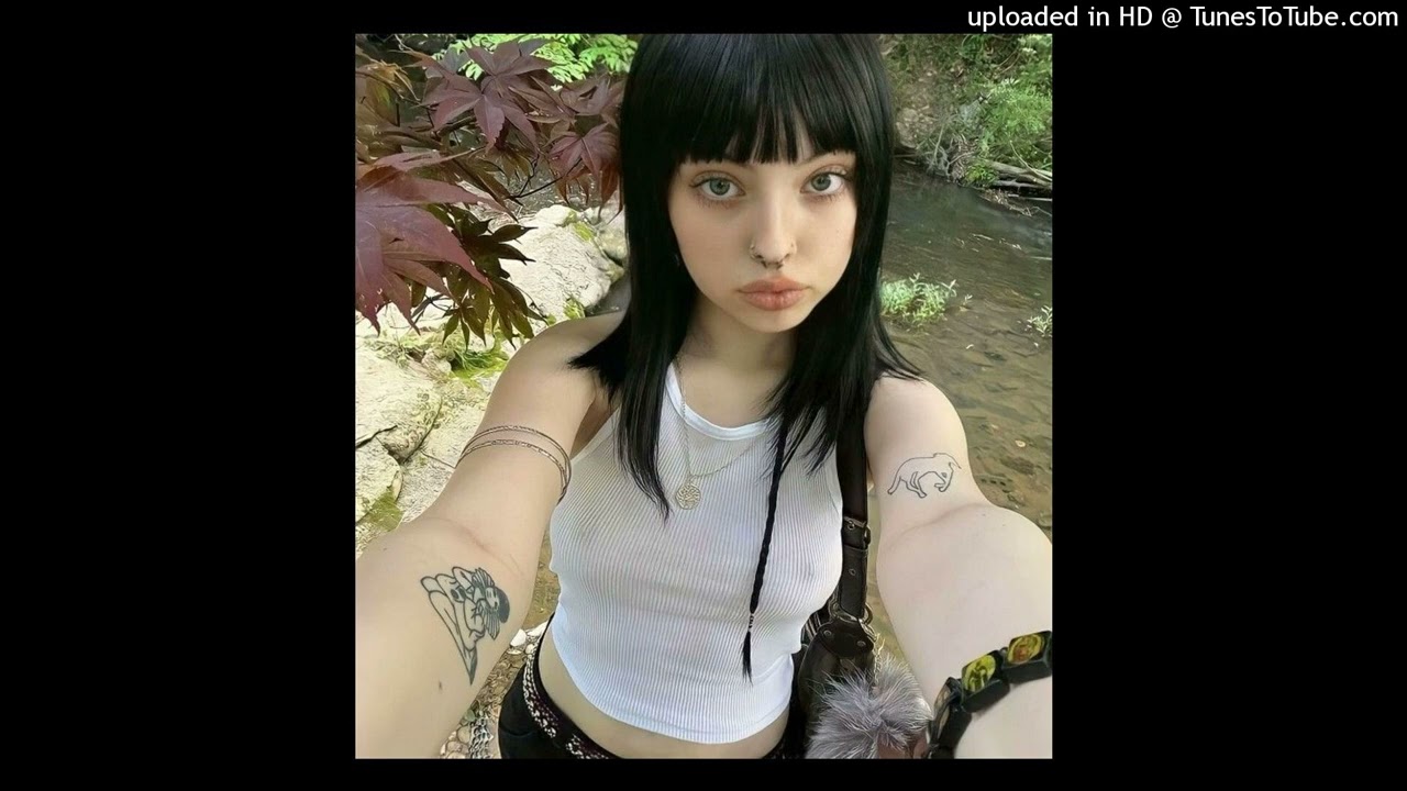 [FREE] HARDSTYLE x LIL DARKIE TYPE BEAT 2024 