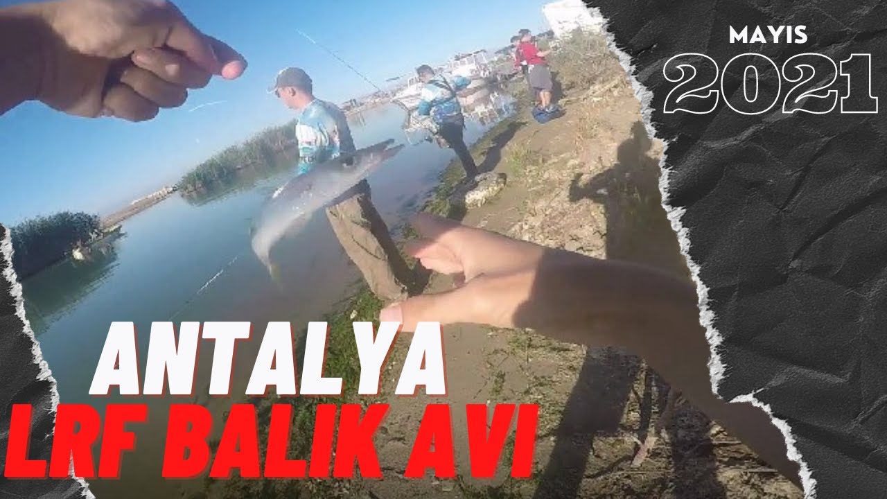 Lrf Takımı ile Sarı Turna Avı 2021/Her Atış Bir Balık