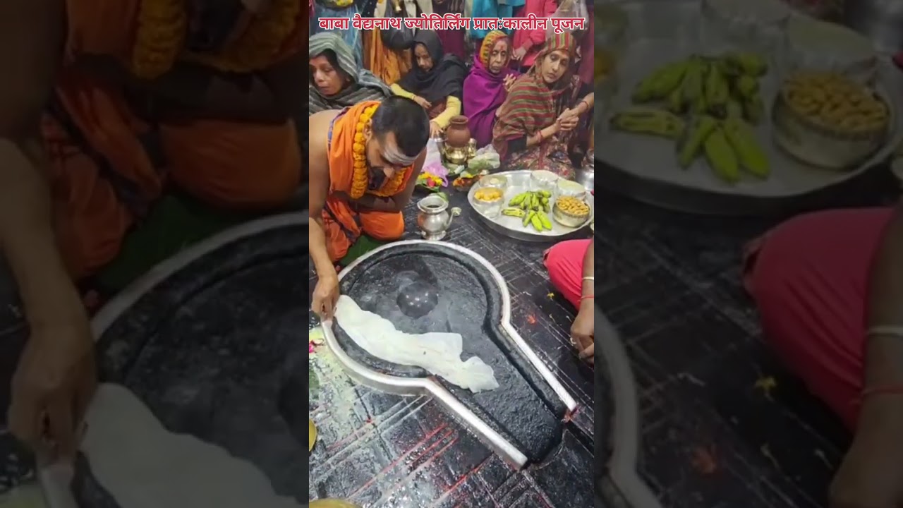 🌺🌿⚘️ बाबा वैद्यनाथ ज्योतिर्लिंग प्रातःकालीन पूजन 🌺🌿⚘️ 7/1/2026 #deoghar #babadham #bholenath #viral 