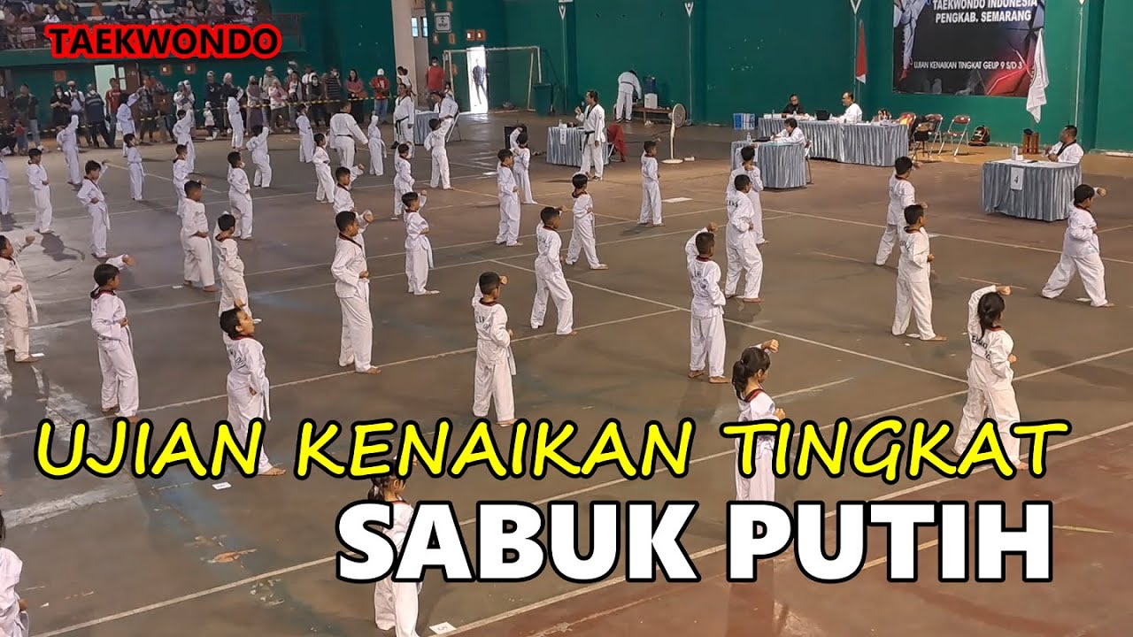 UKT Taekwondo Sabuk Putih