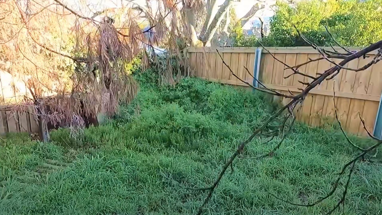 Fixing an Overgrown Mess | Garden Transformation