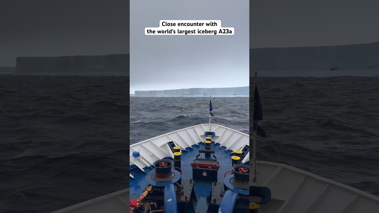 Sailing along world&rsquo;s largest Iceberg A23a. #shorts  #antarctica #iceberg  @poseidonexpeditions