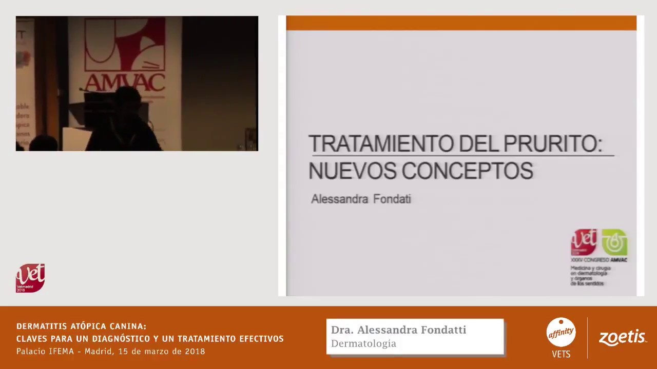 Dermatitis at&oacute;pica canina: claves para un diagn&oacute;stico y tratamiento efectivo Dra. Alesandra Fondatti