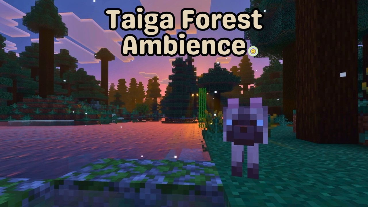 Minecraft Taiga Forest Sunset Ambience – Calm Music & Gentle Rain (Vanilla, No Shaders)